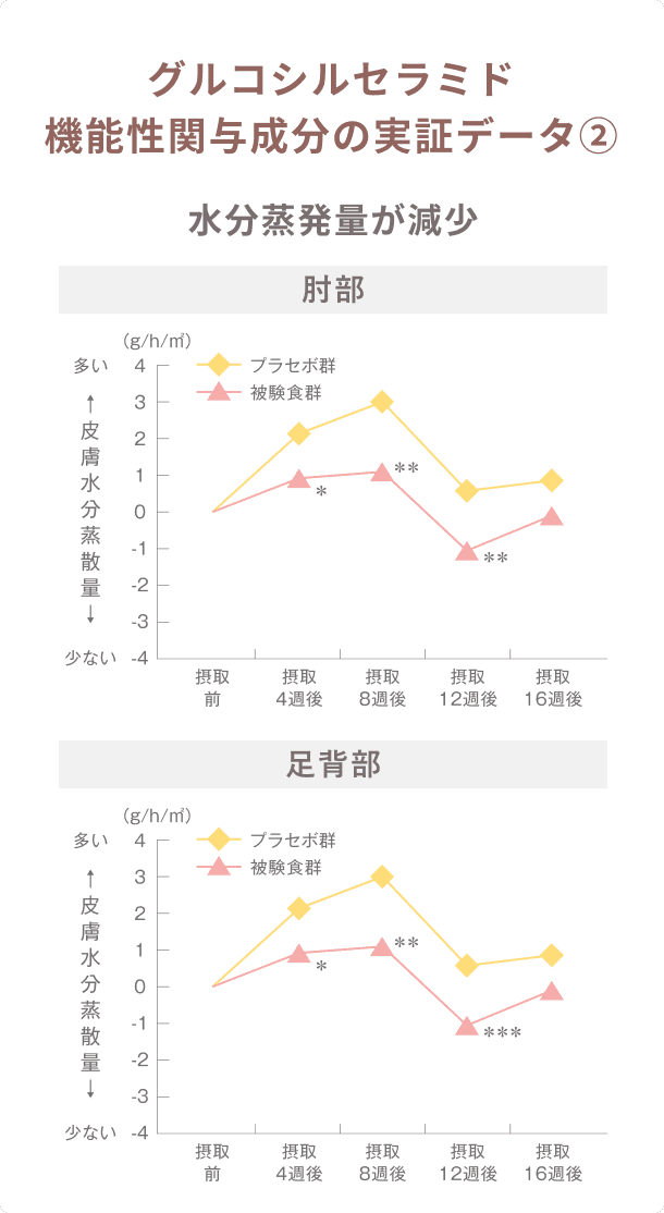 グルコシルセラミド機能性関与成分の実証データ②